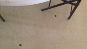 This photo displays the bullet holes in the floor of Emanuel AME Church as a result of the shootings that took place last week. Photo/Clemon Richardson/Urban News Service. 