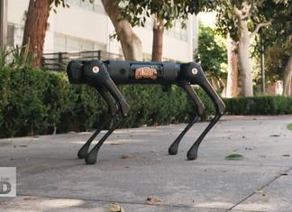 These Robot Engineers Are Inspired By Cats