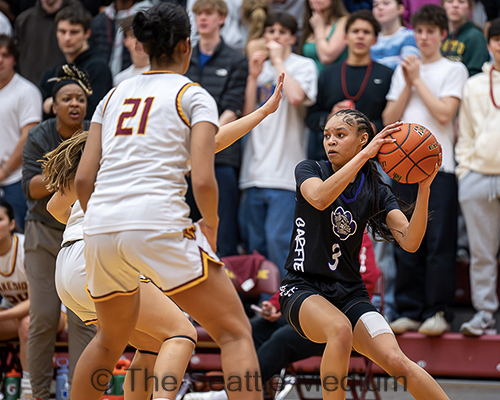 Lakeside Lions Defeat Garfield Bulldogs With Strong Defense And Balanced Scoring