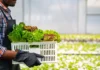 Seattle’s ‘Buying With Purpose’ Initiative Invests $1.3 Million In Local Farms And BIPOC Food Producers
