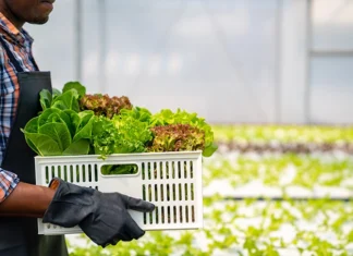 Seattle’s ‘Buying With Purpose’ Initiative Invests $1.3 Million In Local Farms And BIPOC Food Producers
