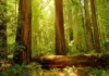 Closest National Parks To Seattle