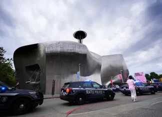 15-Year-Old Detained In Seattle Food Festival Shooting That Left 3 Dead And Toddler Hospitalized