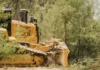Bulldozers Rip Into Big Bend National Park, Driving Anger And Heartbreak