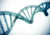 With The Snip Of A Gene, Scientists Hope To Erase High Cholesterol For Life