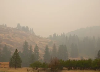 Wildfire Smoke Poses Greater Health Risks For Washington’s Most Vulnerable Communities