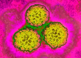 About 1 In 8 Cancer Cases Worldwide Are Tied To These Infections — Most Of Them Preventable